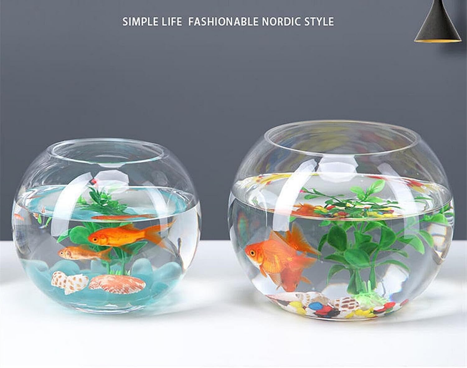 金魚鉢　ガラス　大きめサイズ Amazon | LONGMUN ガラス 容器 テーブル ボウル 金魚鉢 大