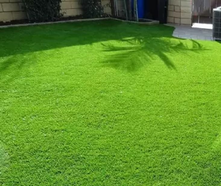 Lawn grass seeds for home garden pack of 10500 (B0CP8G3JBG) Amazon Price History, Amazon Price Tracker