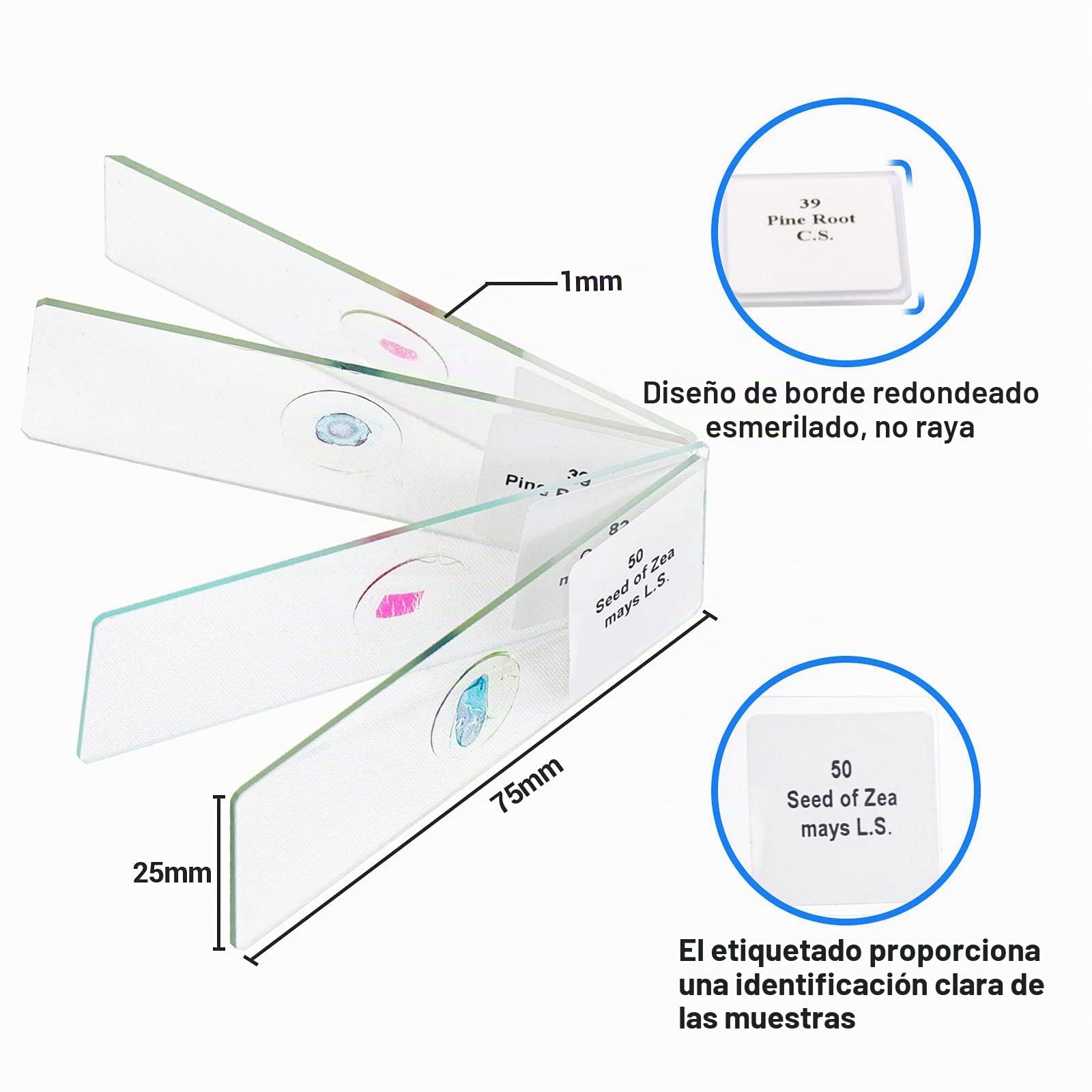 USCAMEL Muestras Microscopio, 100 portaobjetos de microscopio preparados con muestras para niños y Adultos