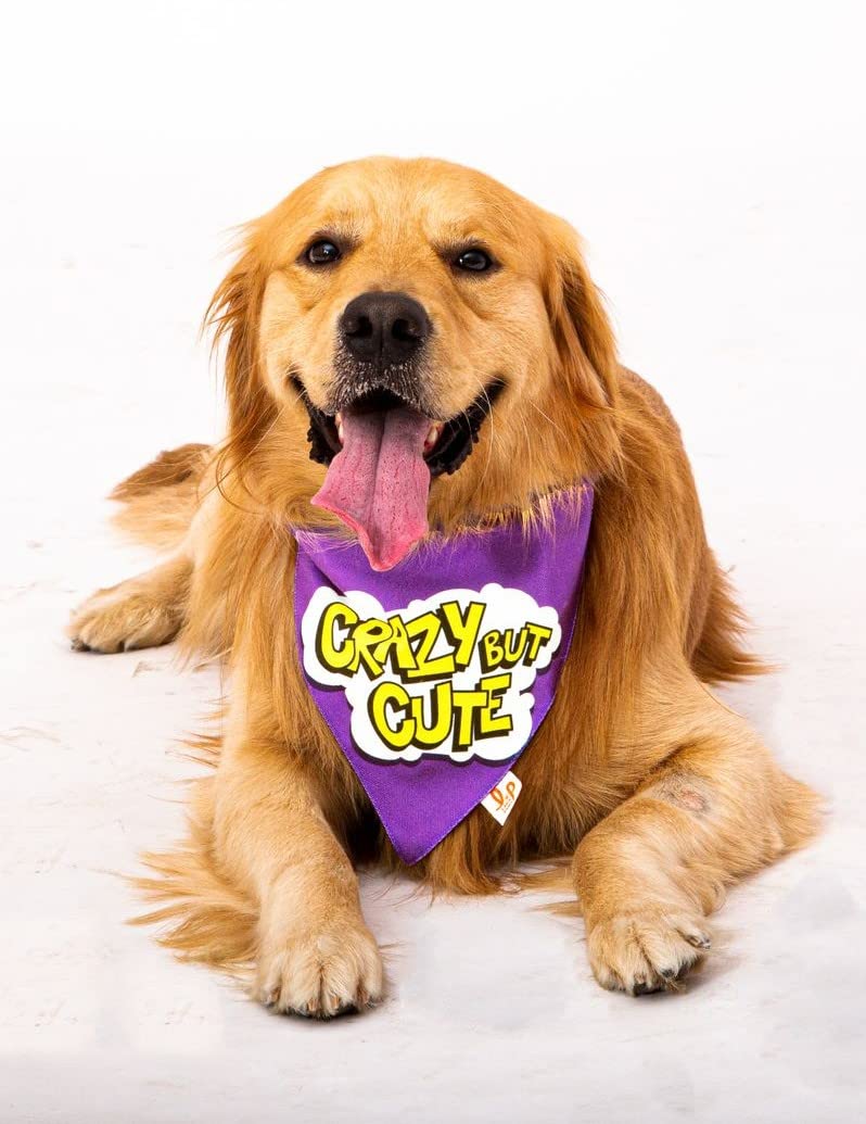 See full amazon price history chart for Lana Paws Crazy But Cute Dog Bandana Scarf (S-M) Multi-Colored Lana Paws Crazy But Cute Dog Bandana Scarf (S-M) Multi-Colored (B07FKMRPKG) Amazon Price History, Amazon Price Tracker