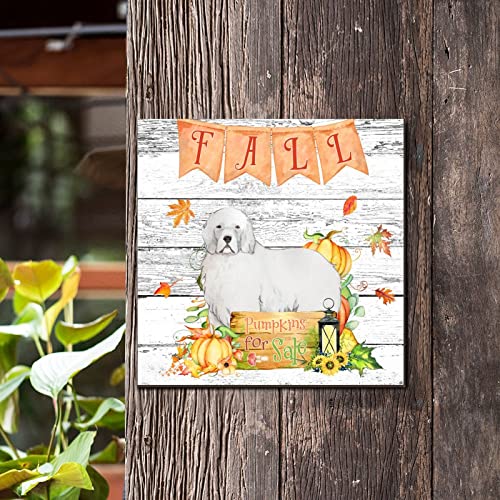 Plaque murale en bois Fall Pumpkins et Husky décoration rétro de 30,5 cm - 4