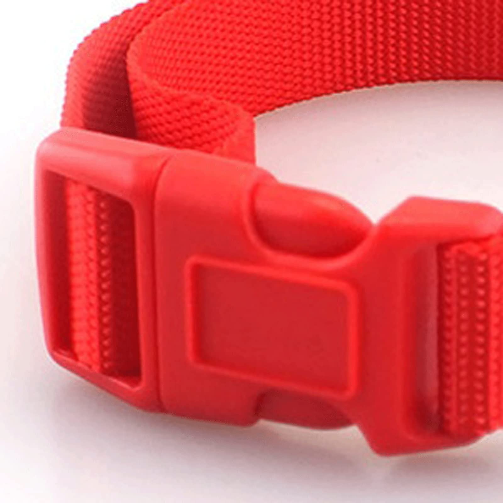 Collari per Cani di Base Collare per Cani in Nylon Regolabile con Fibbia ad Artiglio Resistente Collare per Animali Domestici per Cani di Piccola e Media Taglia Rosso Nero Blu Viola