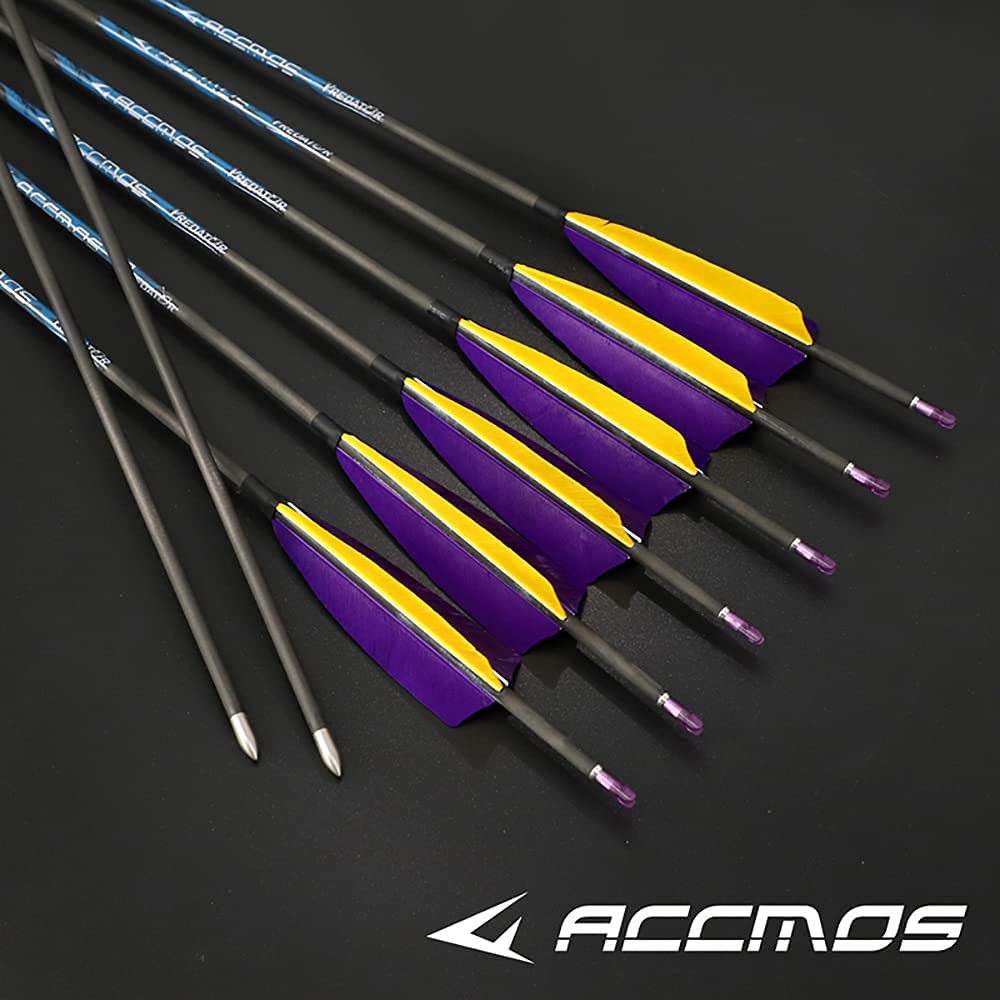 12 Flèches Carbone 28 Pouces Spine 800 - Flèches Tir à L'Arc Pour Entraînement Et Chasse