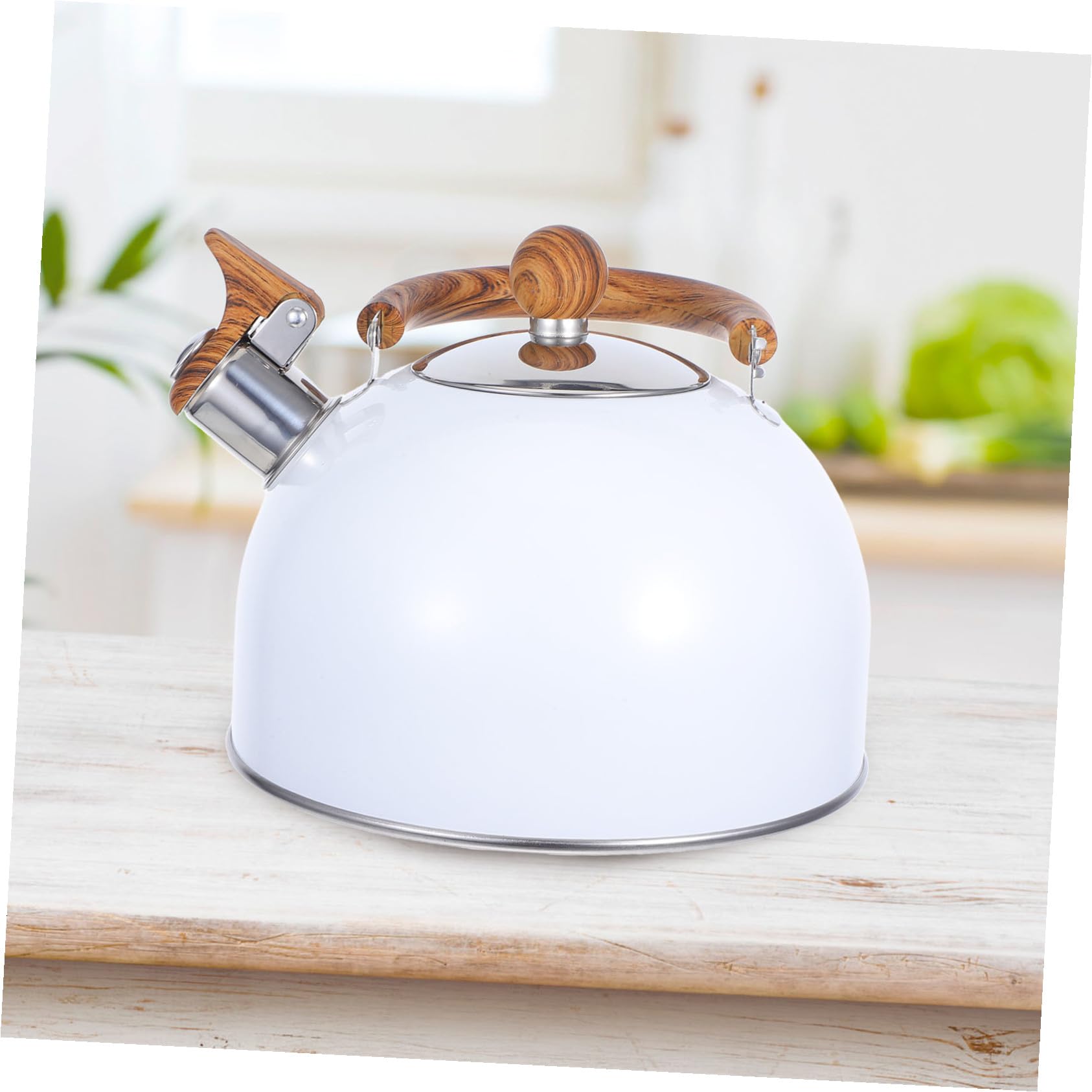 Bollitore a Fischio Bianco 2, 5l in Acciaio Inox per Cucina