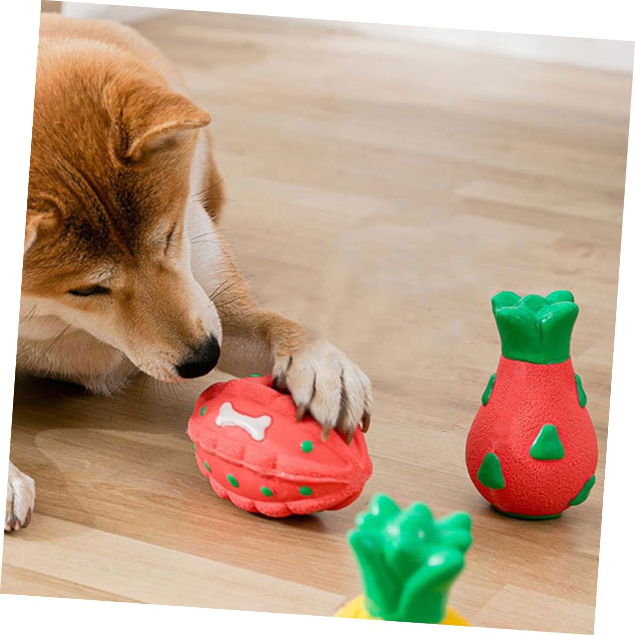 Didiseaon 5 Pièces Jouet pour Chien Balles pour Chiens Jouet pour Animaux De Compagnie Jouet À Mâcher Agressif Jouets À Mâcher pour Chien Doggiejuana Aller Jouer Jouets De