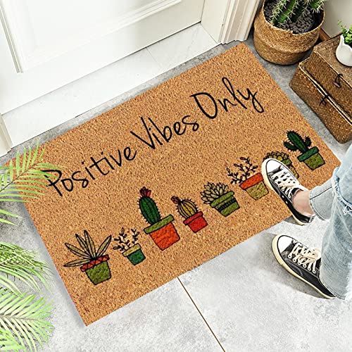 Succulent Graphics Front Door Mats Outdoor,Durable Non Slip Welcome Doormat,Resist Dirt Entrance Mat,Fade Resistant Floor Mat For Yard Porch Patio Kitchen Decor,15.7X23.6 Inches #TOP1
