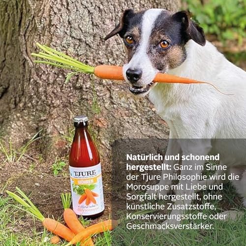 Tjure Morosche Karottensuppe Hund & Katze | 6 x 320 ml | Ergänzungsfuttermittel auf Karottenbasis | Zur Ergänzung der Fütterung in besonderen Phasen | Ohne Zusatzstoffe