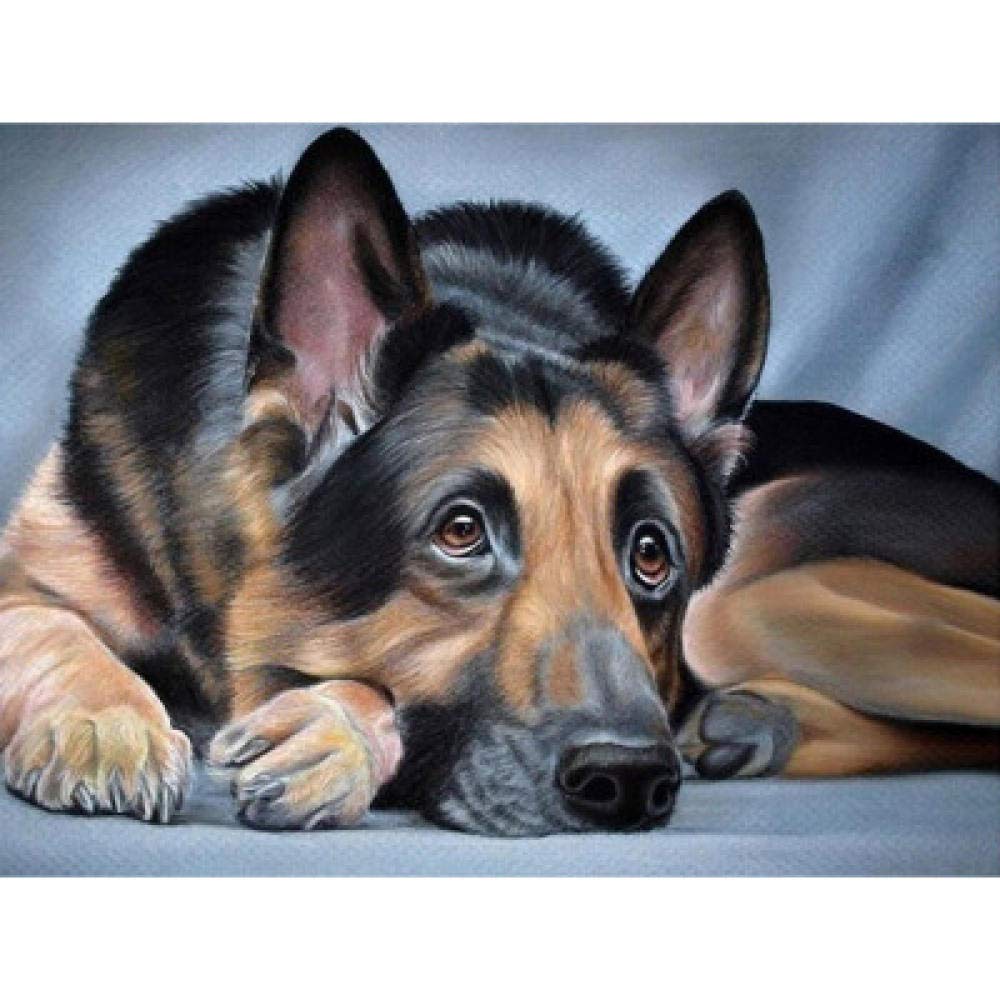 Peinture diamant 5D berger allemand kit broderie mosaïque 50x60 cm