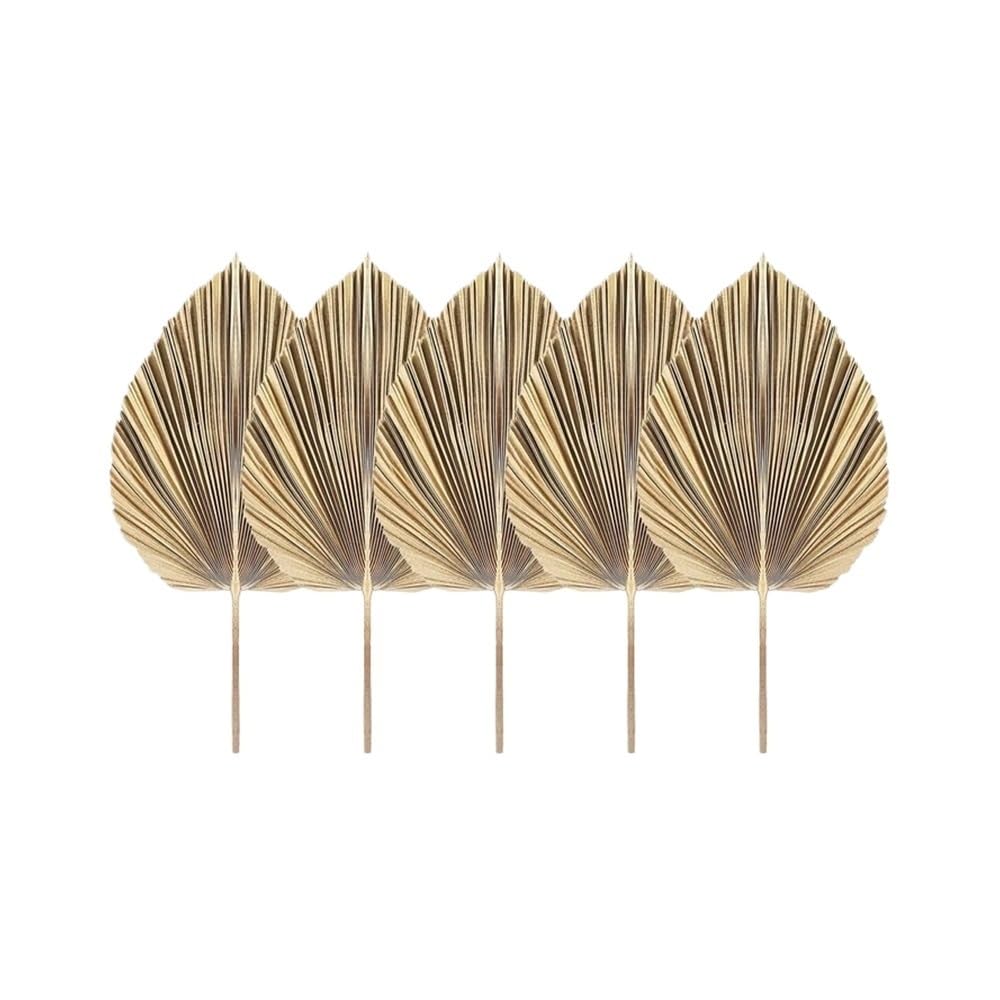 1Pcs Natural Dried Palm Leaves Tropical Fans Boho Dry Decor for Home Kitchen Wedding