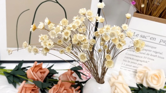 Mini flores secas con tallos ramo margaritas pequeñas blancas miniatura 7