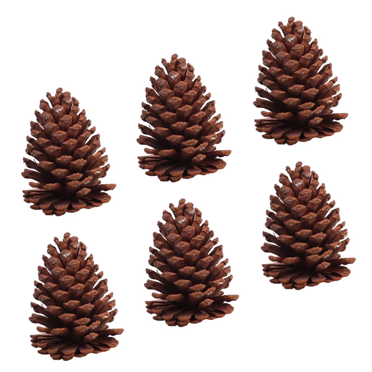 Ornamenti Decorativi in Pigne di Abete per Decorazioni Natalizie 6 Pezzi, Decorazioni Naturali per Casa, Pigne dallo Stile Campagnolo per Arredamento Esterno