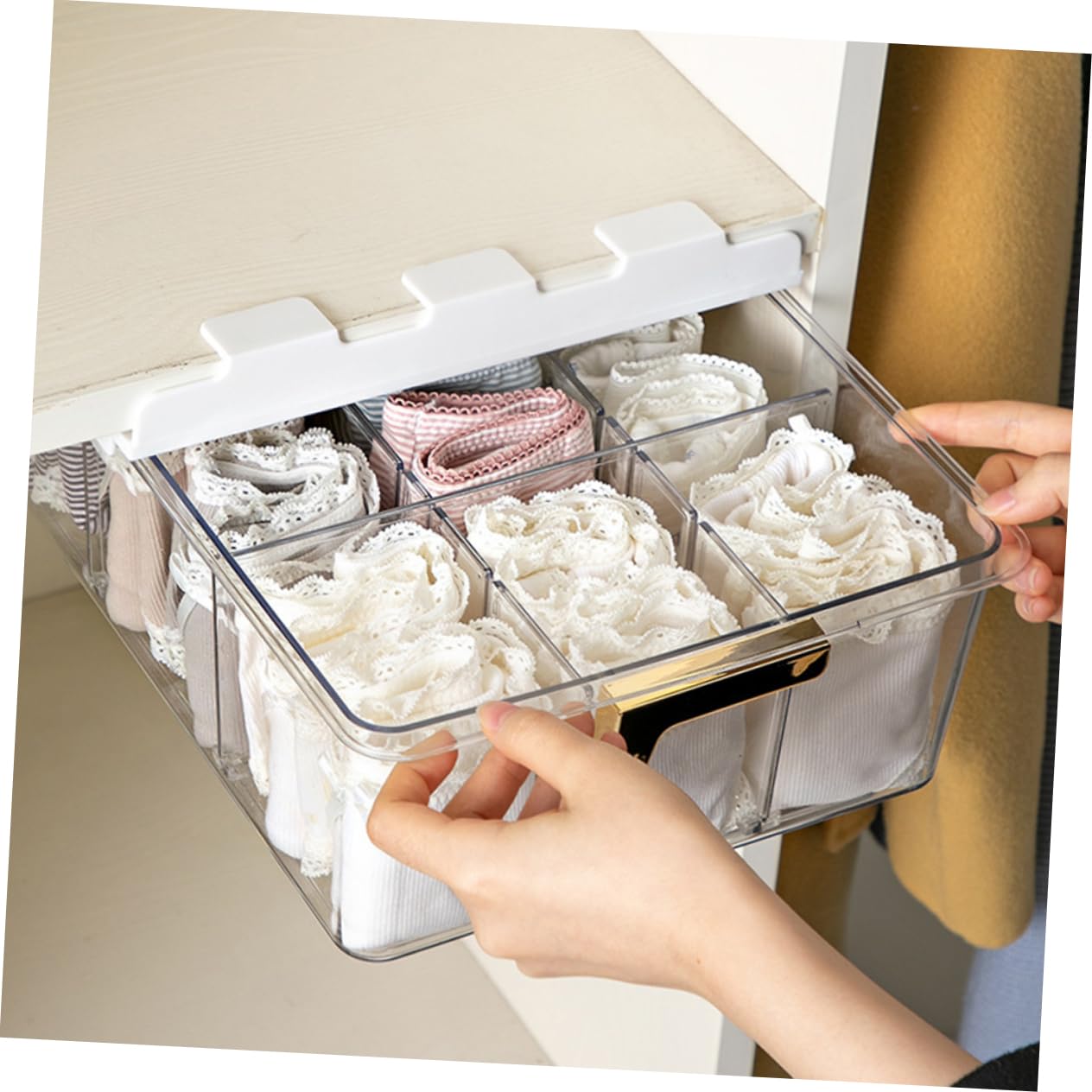 Alipis Scatola Organizer per Armadio Multi-griglia Coperchio Pet 6330