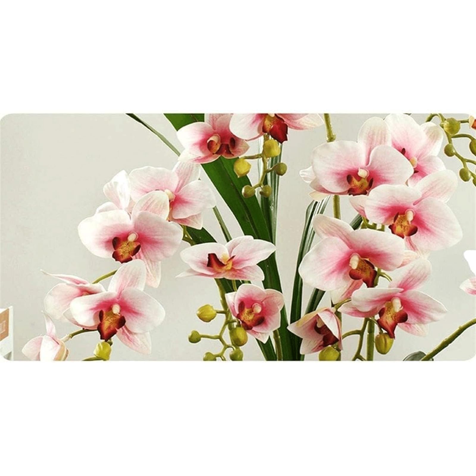 Orquídea Artificial de 19,68 Pulgadas, Floral Falso con jarrón de cerámica, Flores Artificiales de Phalaenopsis en Maceta, Flor Artificial Moderna de imitación