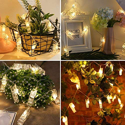 Image of Xenith 14 LED Photo Clip Fairy String Lights for Outdoor Indoor Anniversary Birthday Party Christmas Decoration Home Festival Festive Party Restaurants Farewell (Warm White, 3.5 Meter)