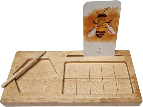 Juego de tablero de diez marcos | Matemáticas Montessori | Diez marcos y contador | Tarjetas flash de lápiz óptico y números | Juguetes educativos