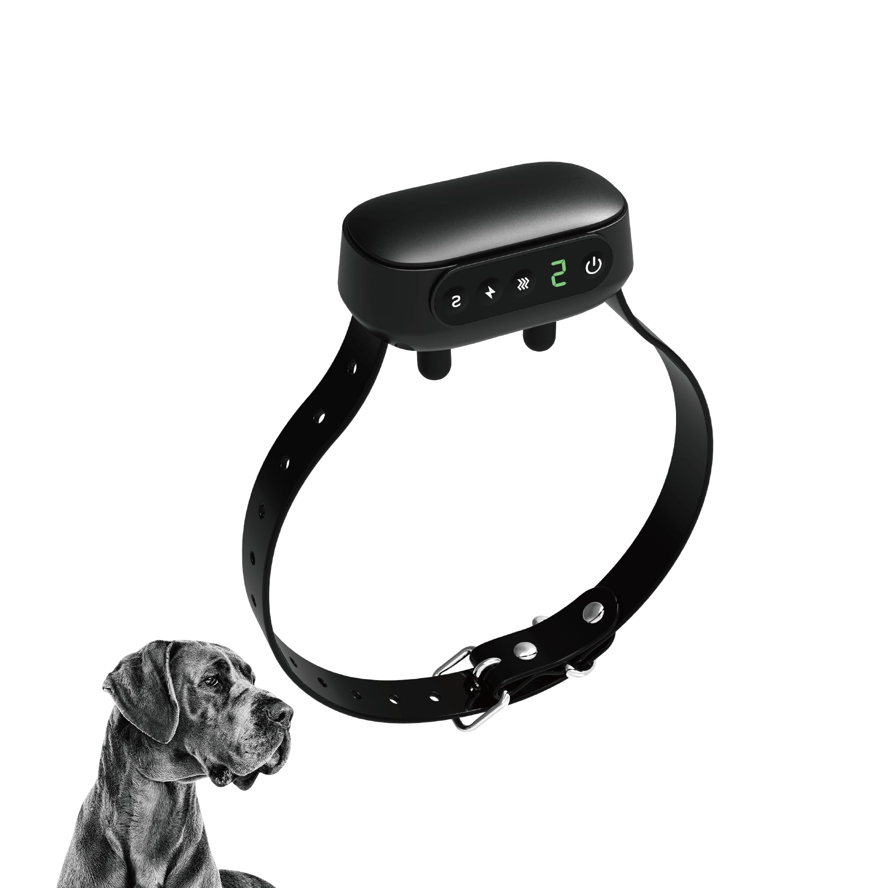 Emily Pets Smart Dog Bark Collar | Anti-Bark Training for Small to Large Dogs | Adjustable, Rechargeable | Beep, Vibration & Shock Modes-image-20