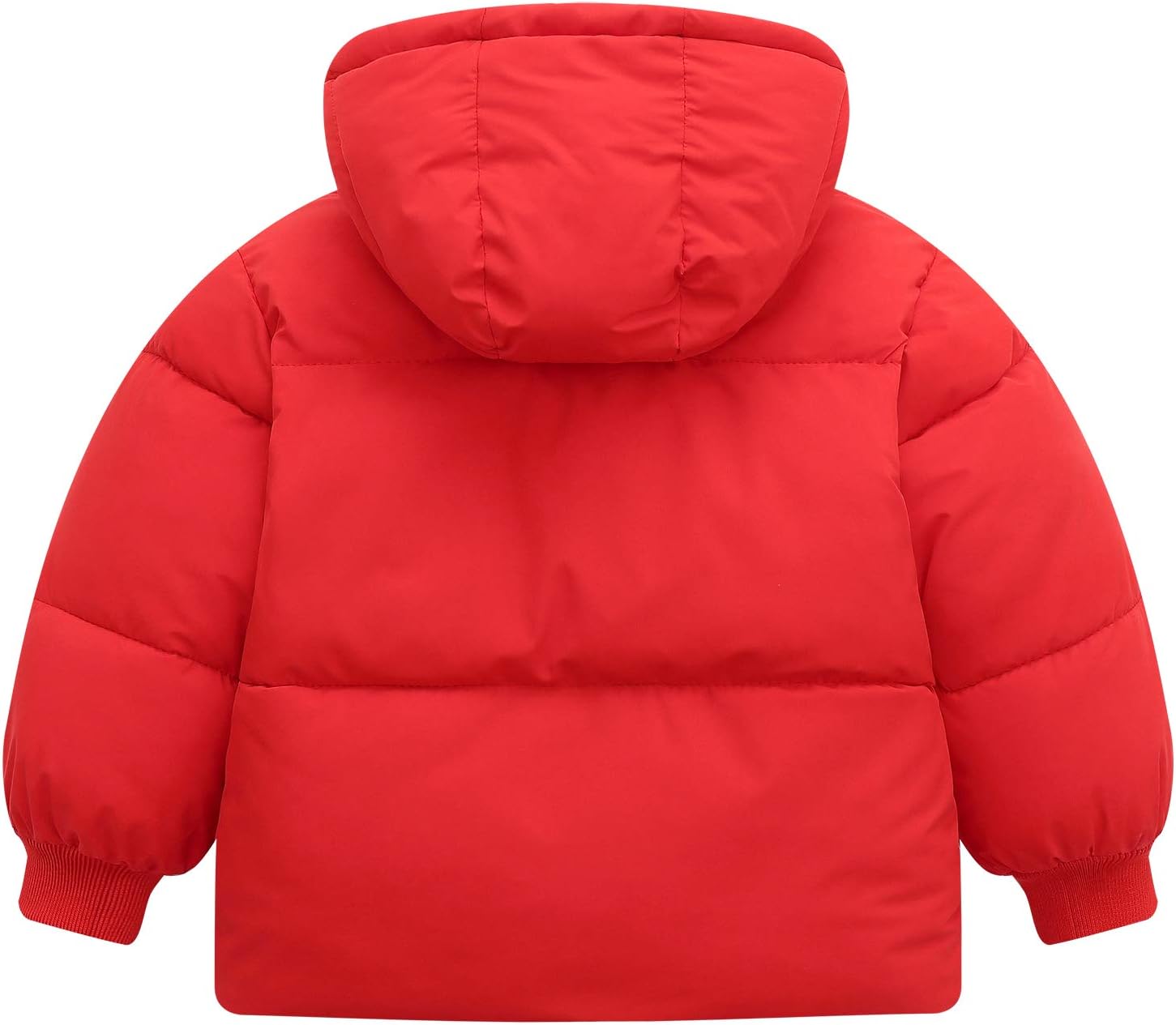 Baby Winter Coats, Outerwear for Toddler Kids Infants Boys Girls Light Puffer Warm Hooded Down Jacket for 2-7 Years - Image 2