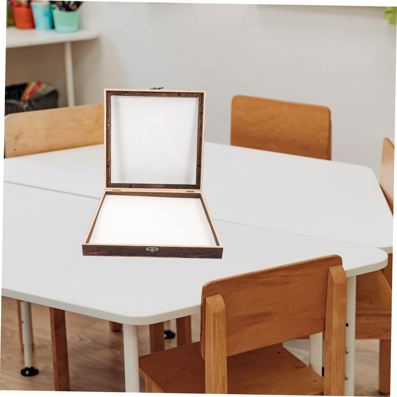 Cabilock Boîte à Spécimens pour Insectes Vitrine Rétro avec Couvercle Transparent Rangement Multifonctionnel pour Objets de Collection Caisse