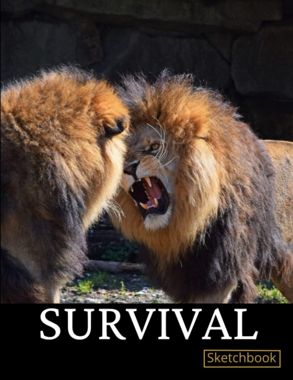 Books for Zion | Survival: 8.5 x 11 Sketchbook (120 pages 60 sheets)