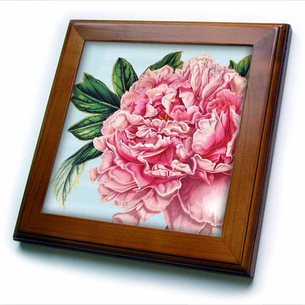 3dRose ft_99406_1 Pretty Pink Peony Vintage Botanical Art-Framed Tile, 8 by 8-Inch