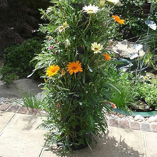Pot de fleurs vertical pour balcon fleuri et terrasse moderne