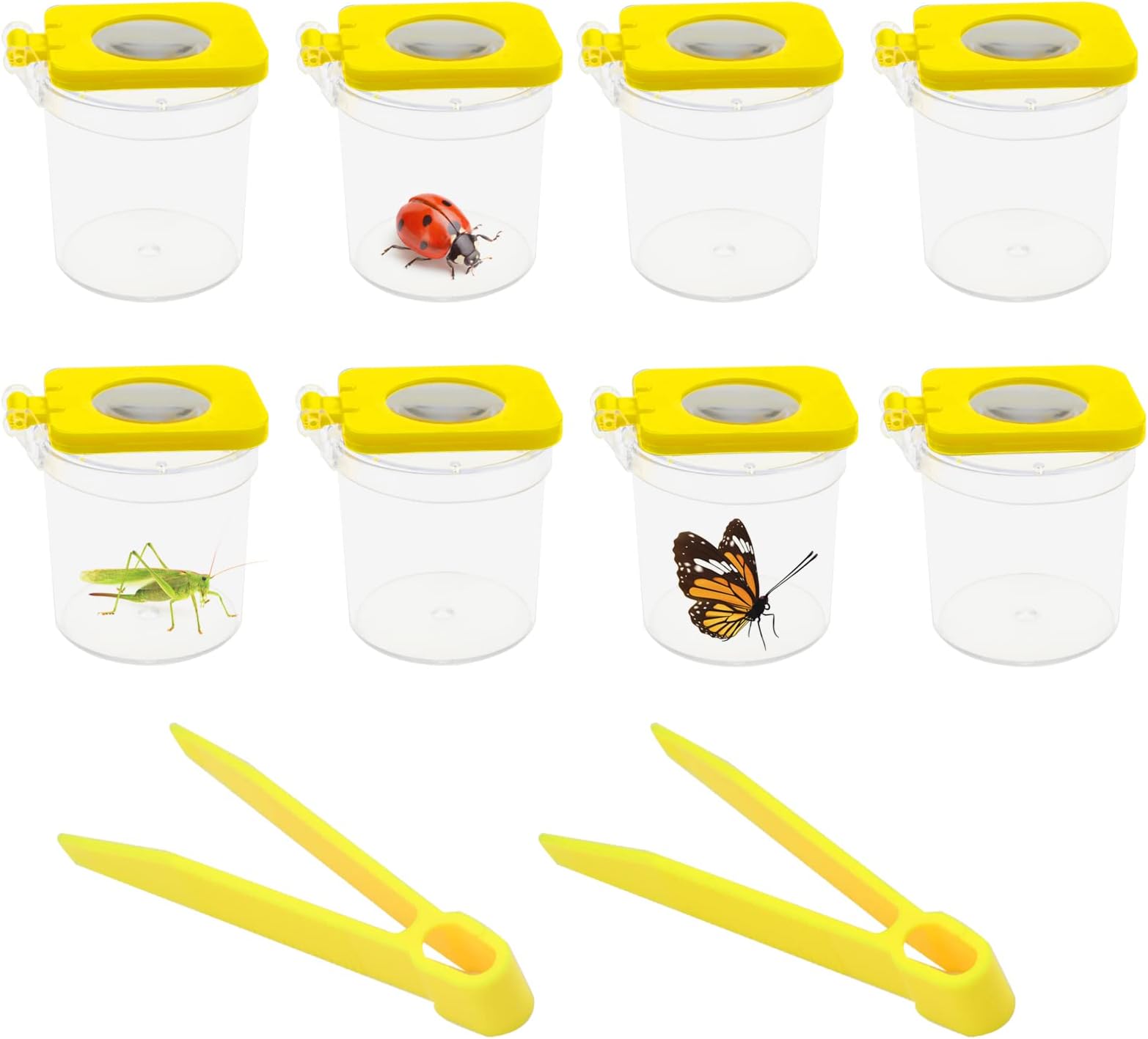 TSLBW Magnifying Insect Viewer Box 6PCS Magnifying Insect Container with 2pcs Tweezers Clear Kids Bug Box Bug Pots Portable Insect Observation Box for Natural Educational Science Learning