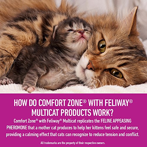 Comfort Zone Multicat Diffuser Refill, 1 Pack, For Cat Calming #TOP3