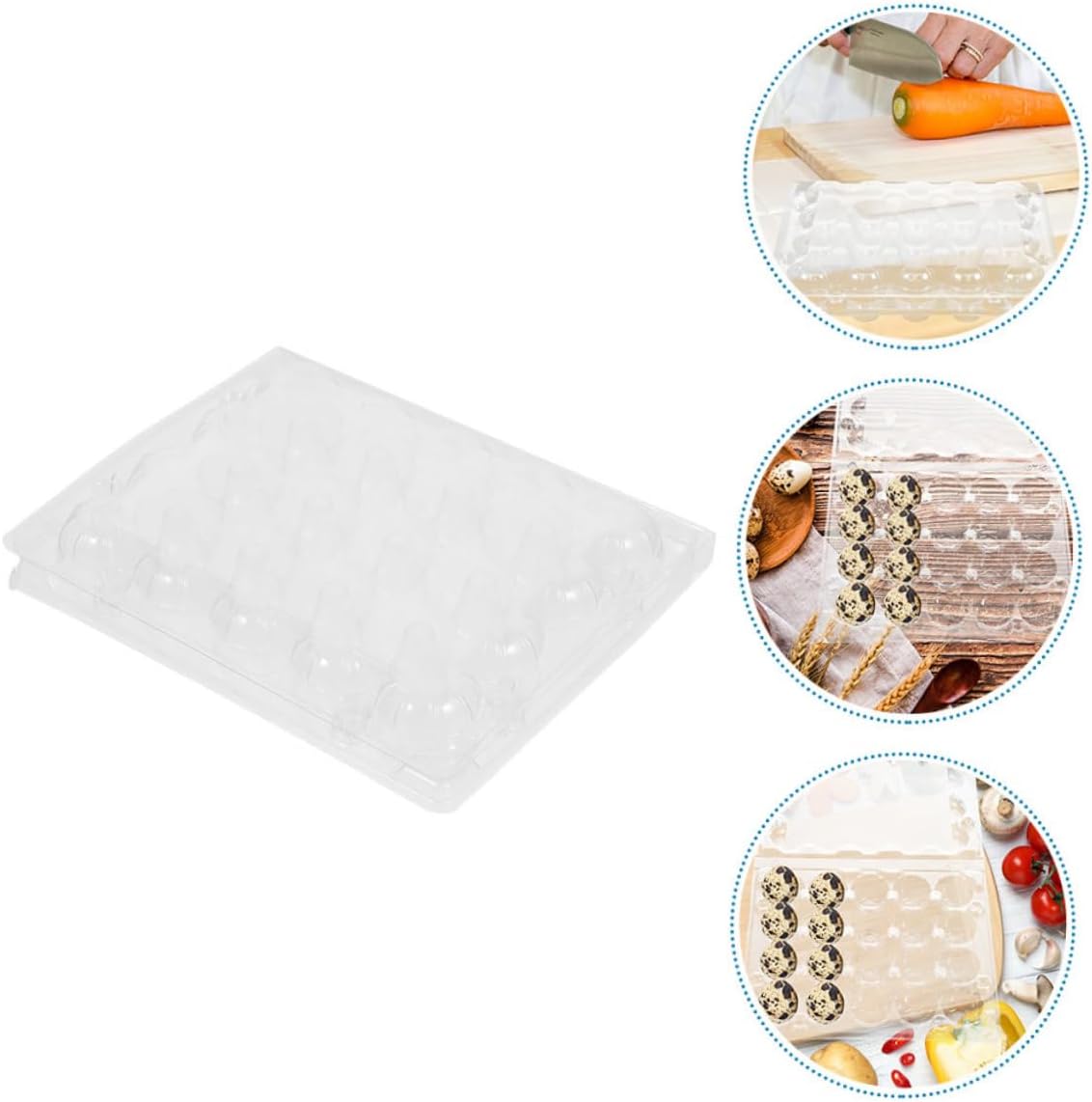 20pcs Reusable Quail Boxes Holders for Quail Eggs for Home Storage and Shops and Convenient Cartons