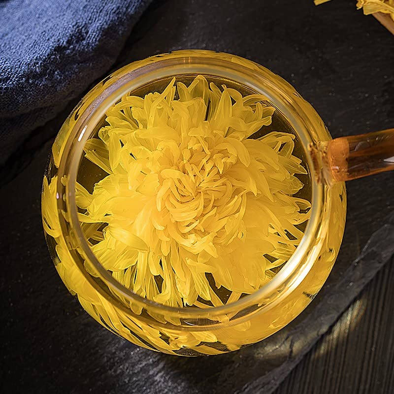 Crisantemo 'Golden Queen'