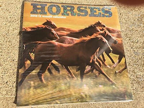 12 Month Wall Calendar Horses 2016 year