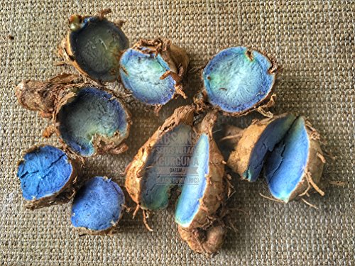 Image of Black Turmeric Seeds, 1Kg