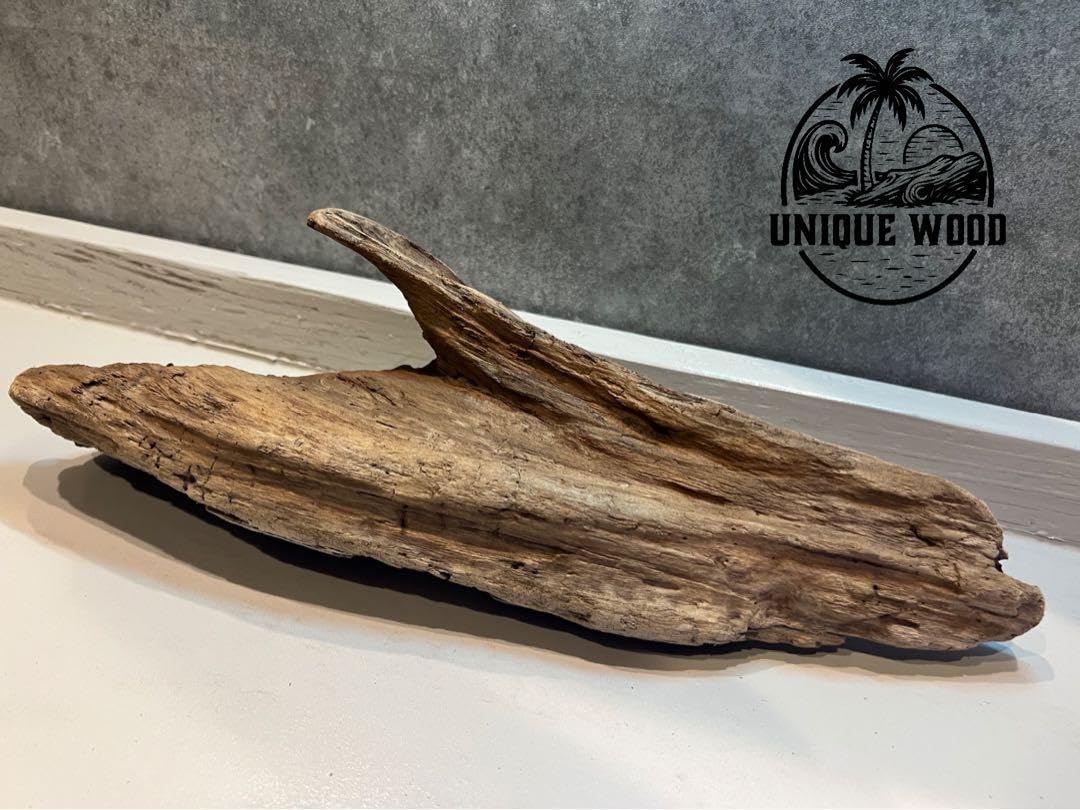 天然流木 アクアリウム ADA インテリア 煮沸済み 沈水確認済み 【105】