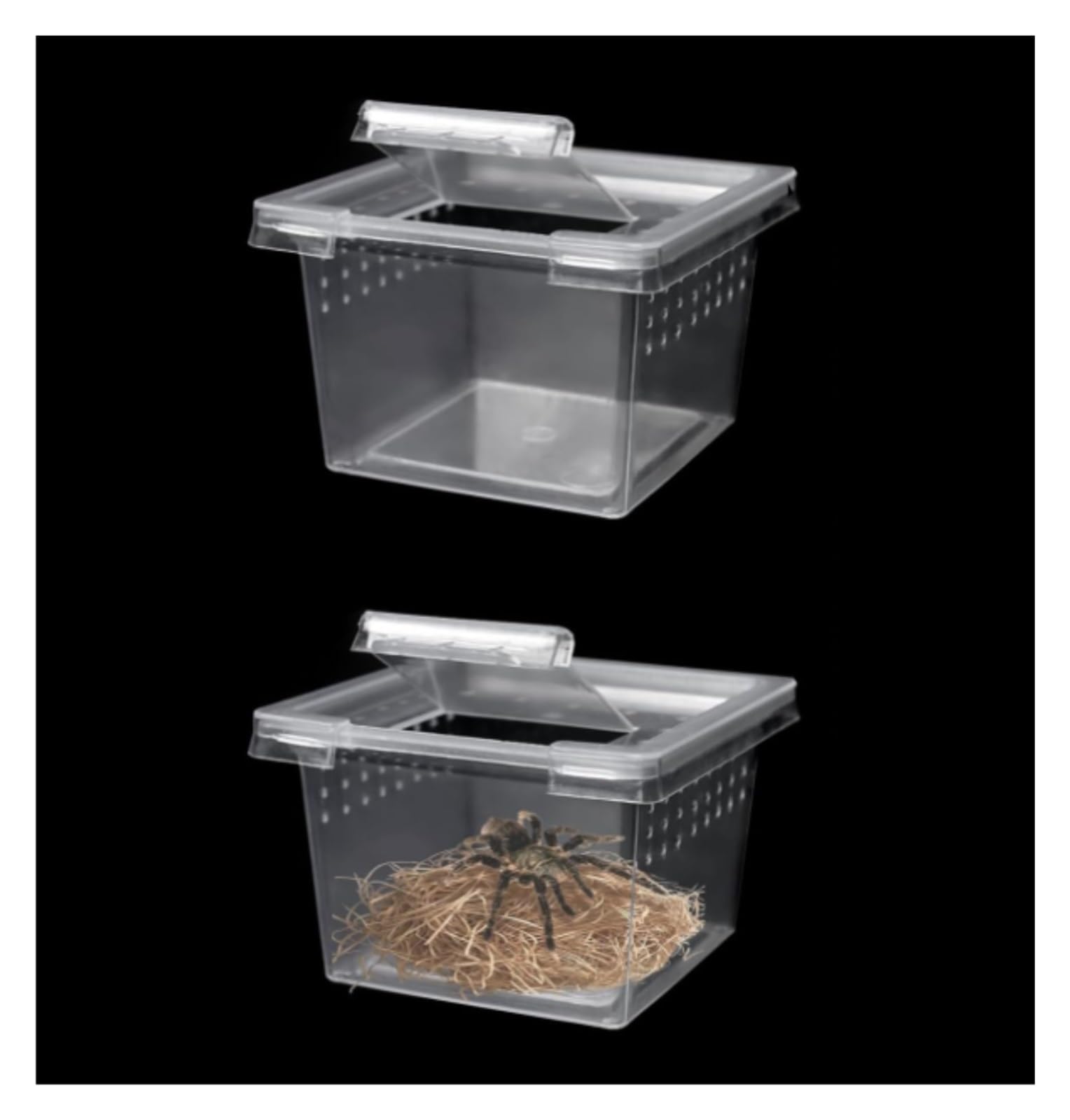 Terrario Per Rettili Spide 10 Confezioni Di Terrari For Ragni E Insetti, Contenitori For La Riproduzione Schiusa Terrarium Kit Esplorazione