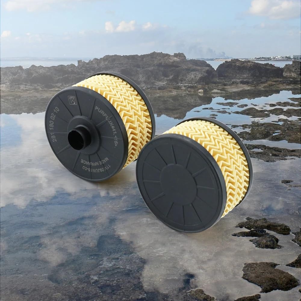 Filtro olio 2PCS/4PCS A2811800210 Elemento filtro olio 2811800210 152095084R 1520900Q0F 2001800009 Sostituzione accessorio(4PCS)