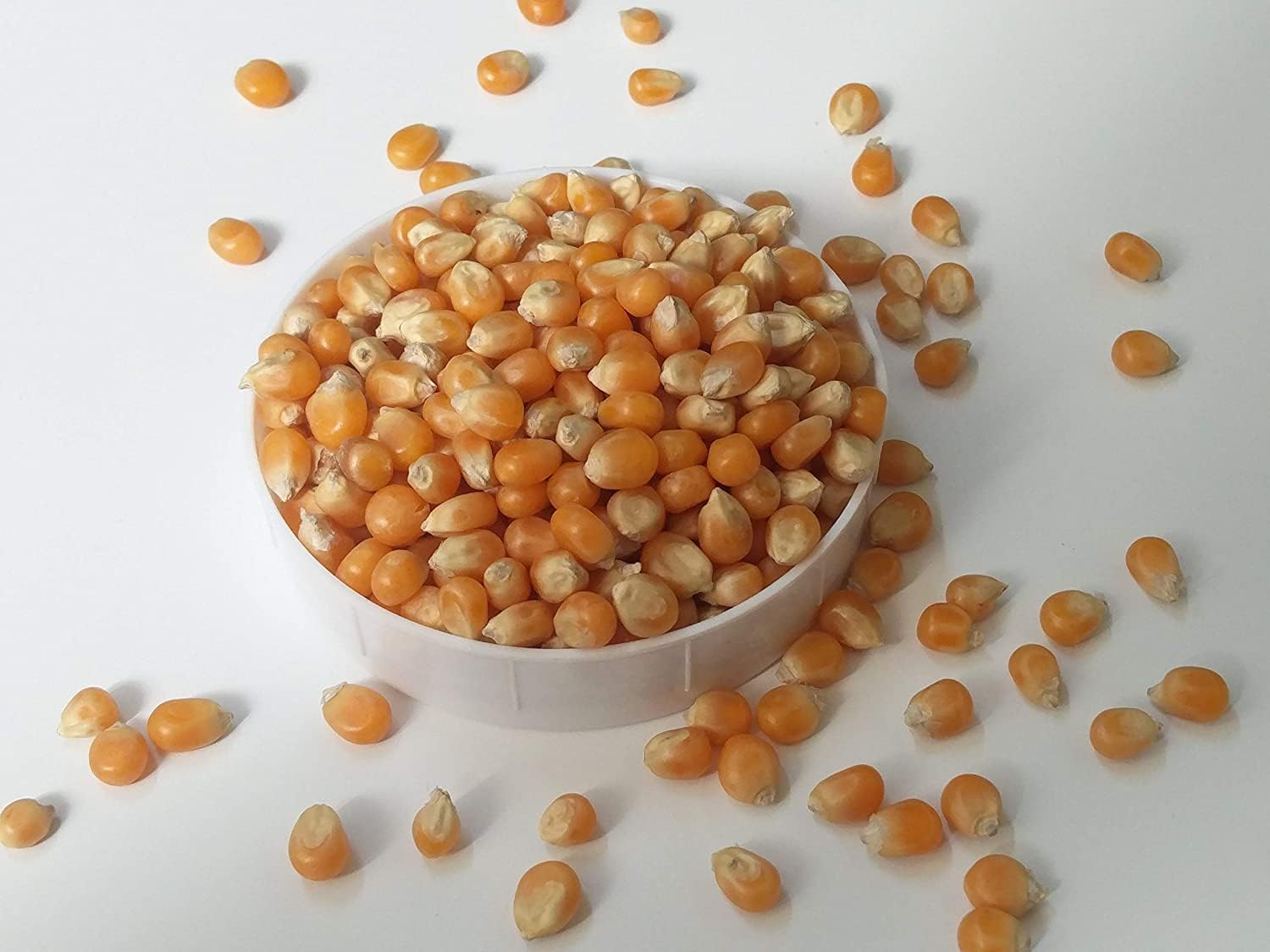 French 100% Popping Popcorn Kernels | Ready to Cook | Instant Popcorn | Popcorn Seeds | Maize (1KG)-image-25