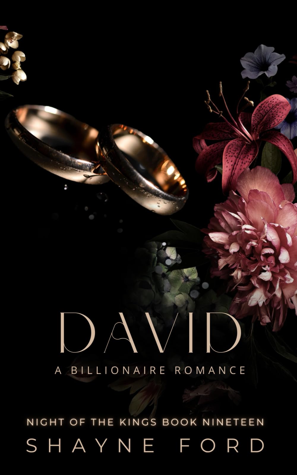 DAVID: A Billionaire Romance (NIGHT OF THE KINGS SERIES)