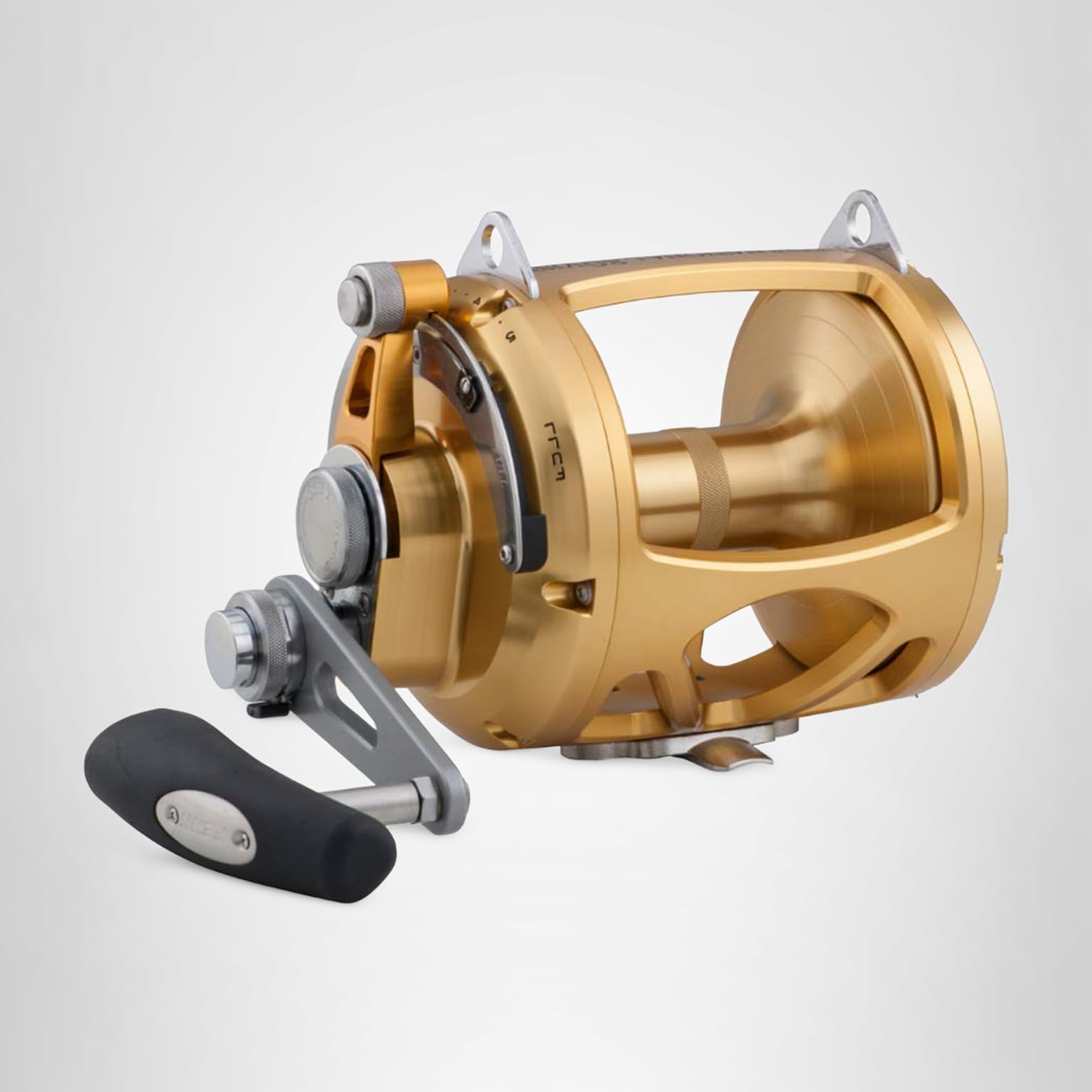 Amazon.com : Reels Saltwater Lever Drag PENN INT80VISW