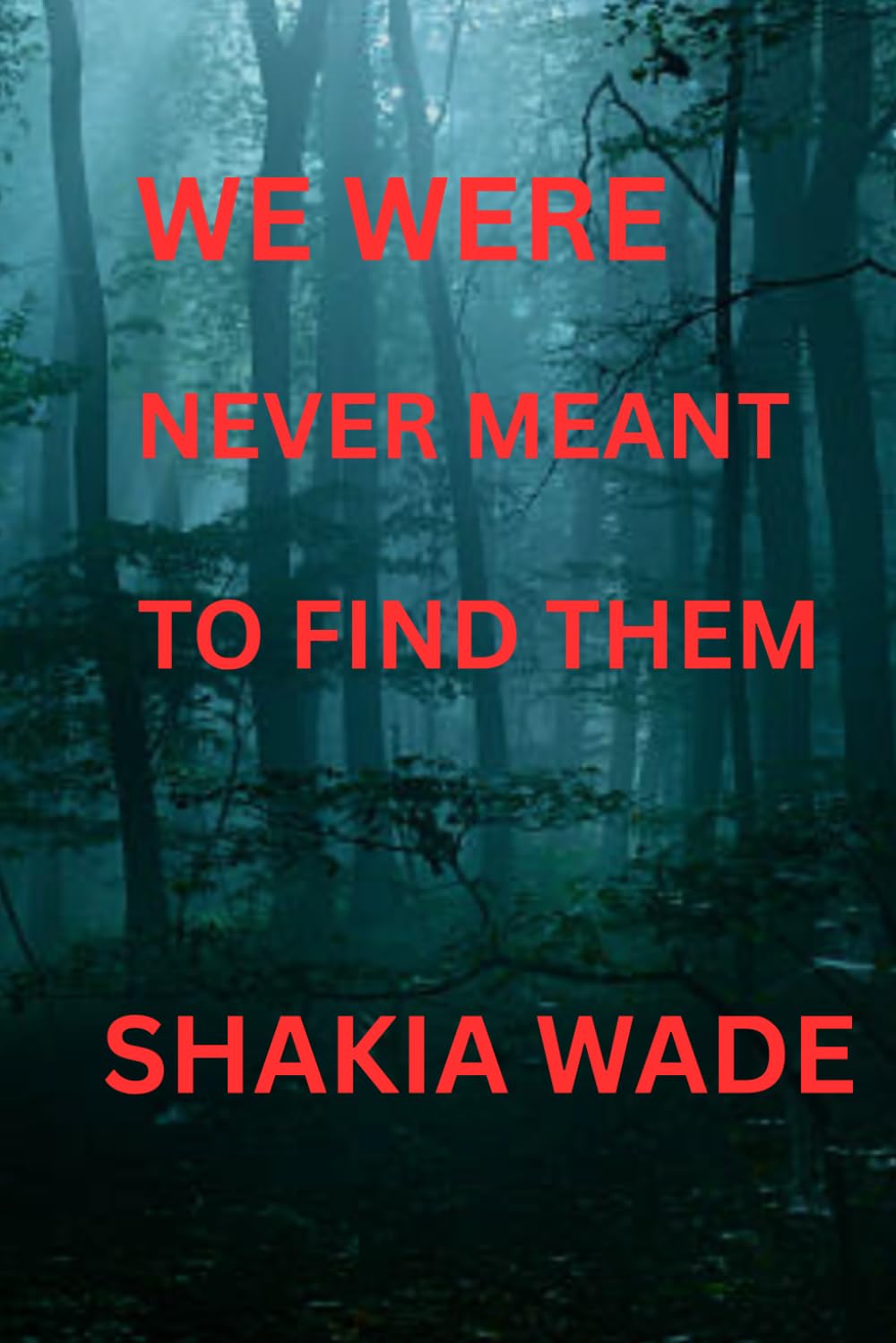 We Were Never Meant To Find Them