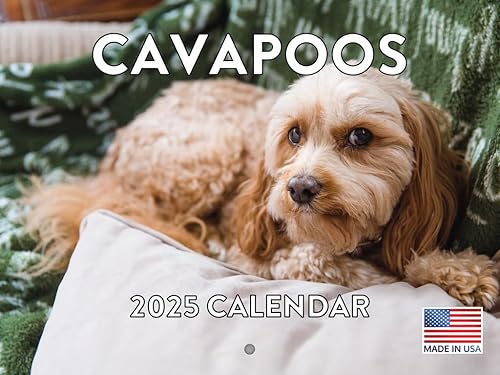 Vista 135 de Calendario Goldendoodle 2026 Golden Doodle mensual de pared calendario de 12 meses Fabricado en Estados Unidos