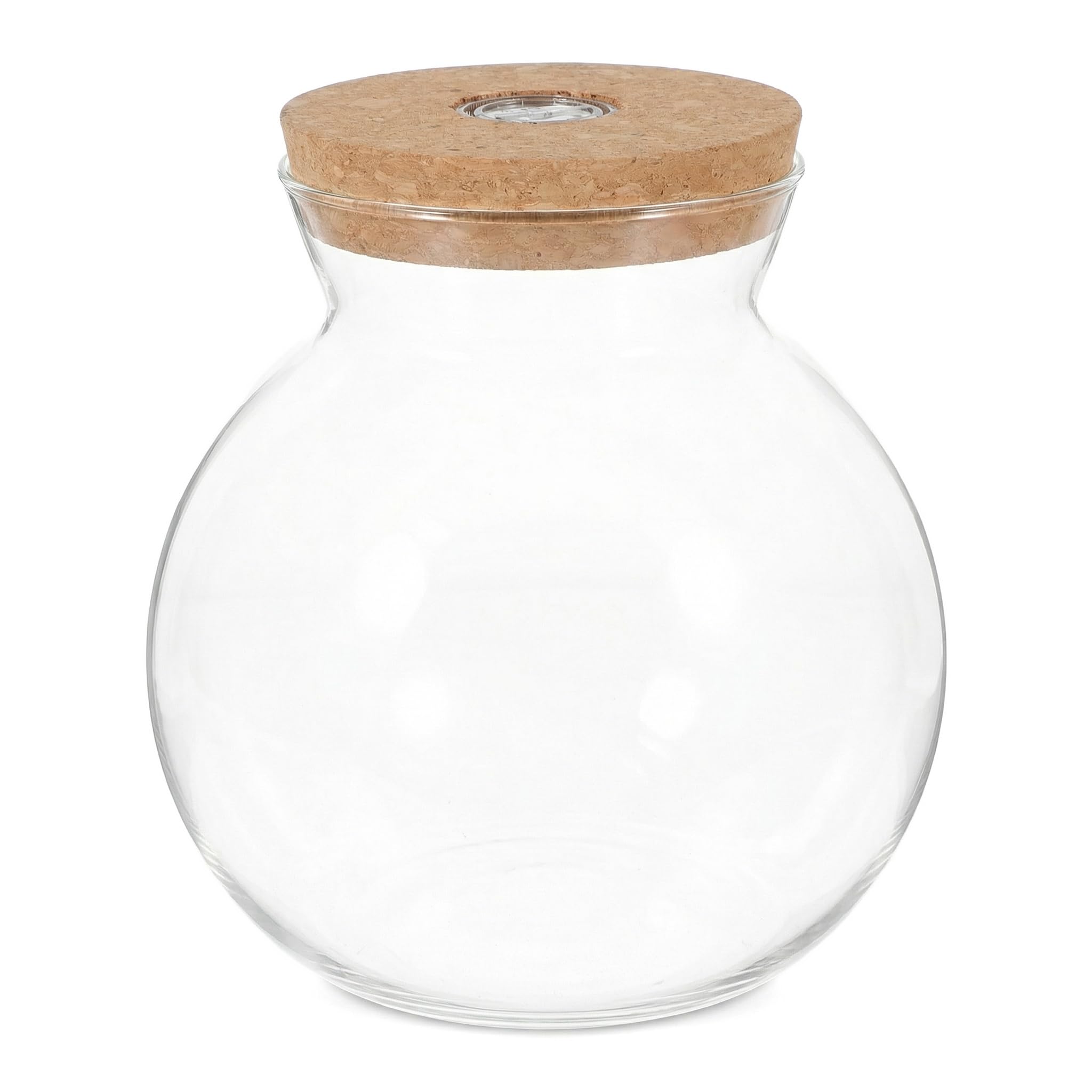 UKCOCO Bouteille en verre - Bouteille de paysage - Récipient transparent - Petit récipient de conservation - à champignons - Bocaux LED avec bouchon en liège - Vase de paysage pour