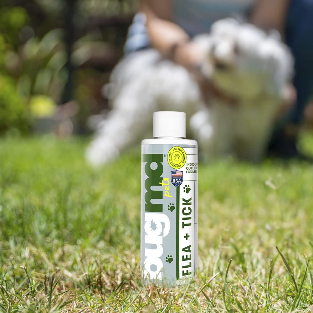 BugMD Flea and Tick Spray (2 Pack) - Flea and Tick Formula for Dogs, Flea and Tick Spray for Dogs, Flea Spray for Home, Flea and Tick Killer, Dog Flea and Tick Control