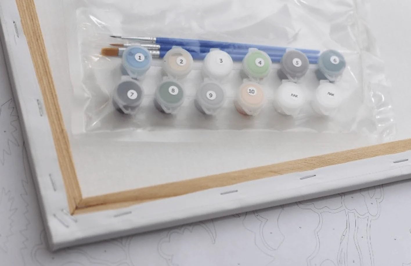 Wizardi Painting by Numbers on a Stretcher kit - Orange Delight KHO5616 Ideyka