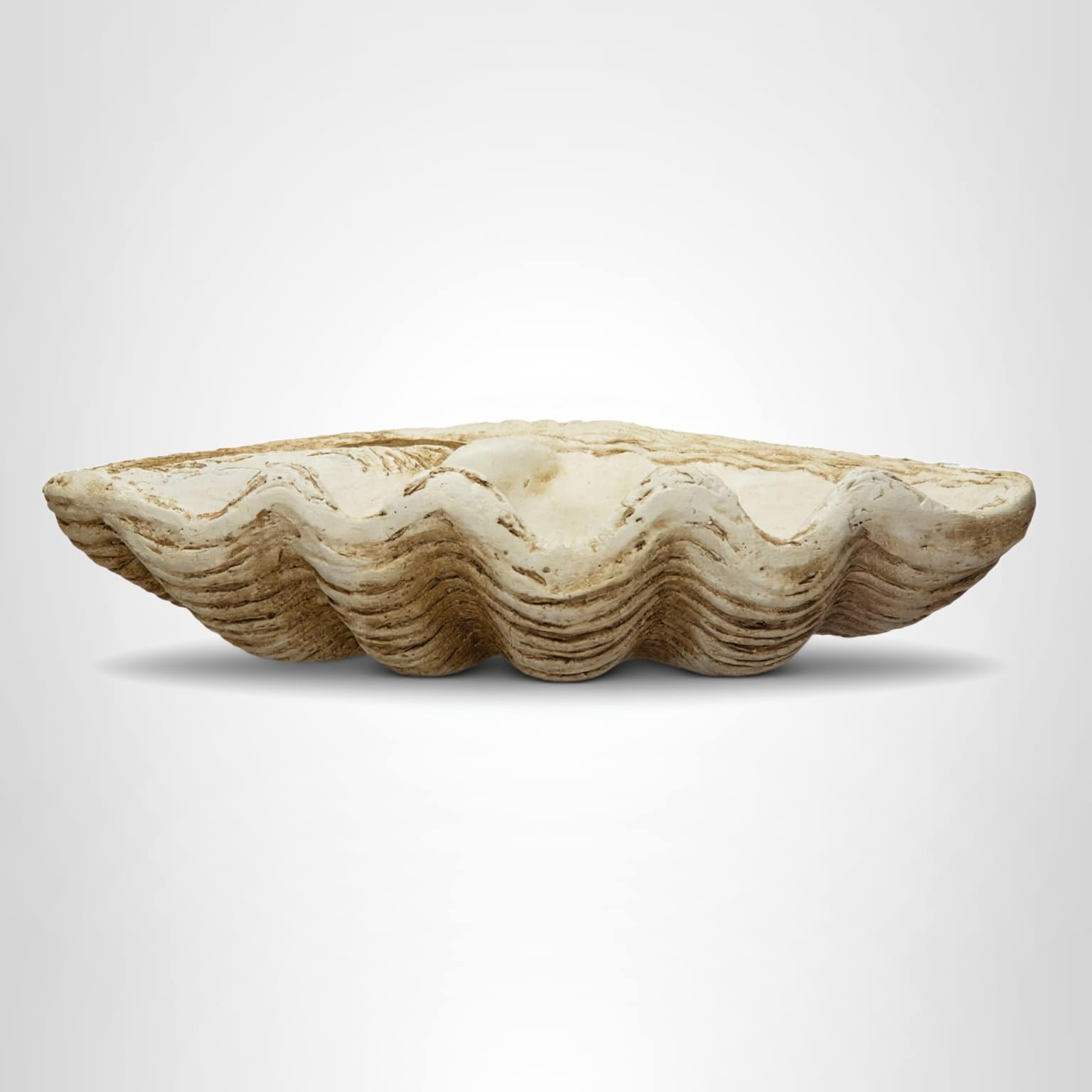 貝殻 Amazon.com: Creative Co-Op Coastal Decorative Magnesia Clamshell