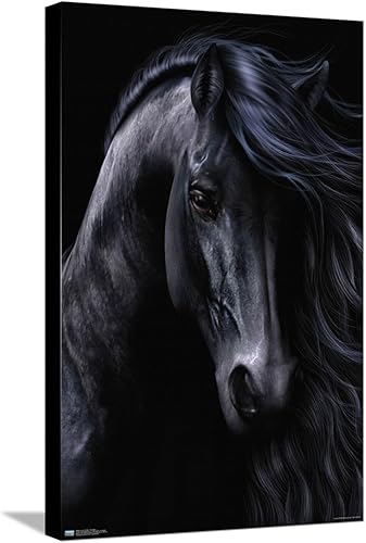 Trends International Laurie Pridle - Póster de pared negro, 14.72 x 22.37 pulgadas, lienzo estirado