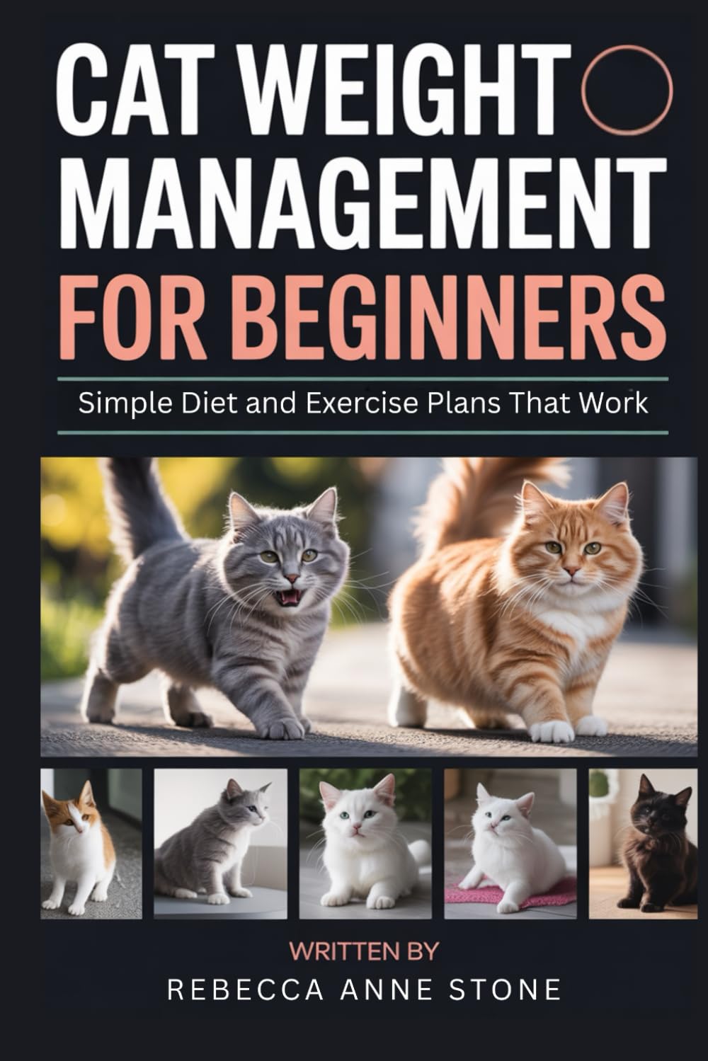Cat Weight Management for Beginners: Simple Diet and Exercise Plans That Work