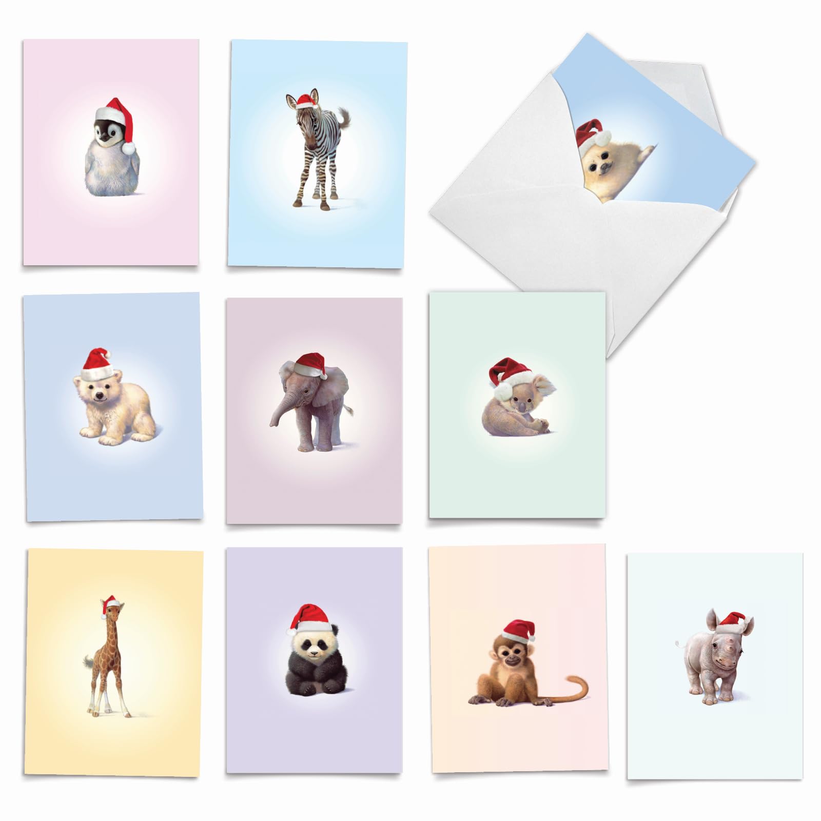 Best Card Co 10 Christmas Blank Boxed Cards Zoo Babies M6726XSB