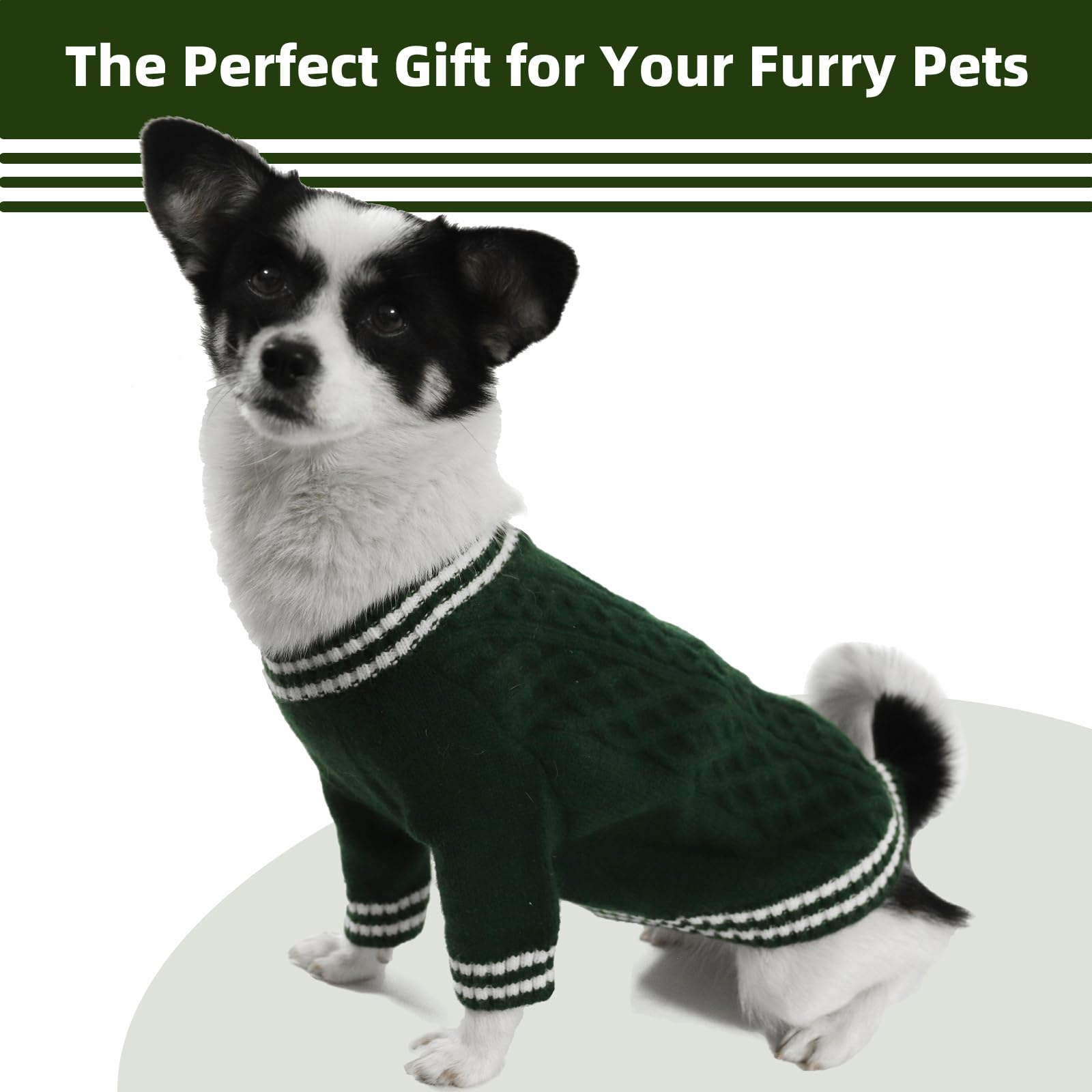 View 6