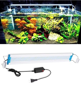 2 feet aquarium