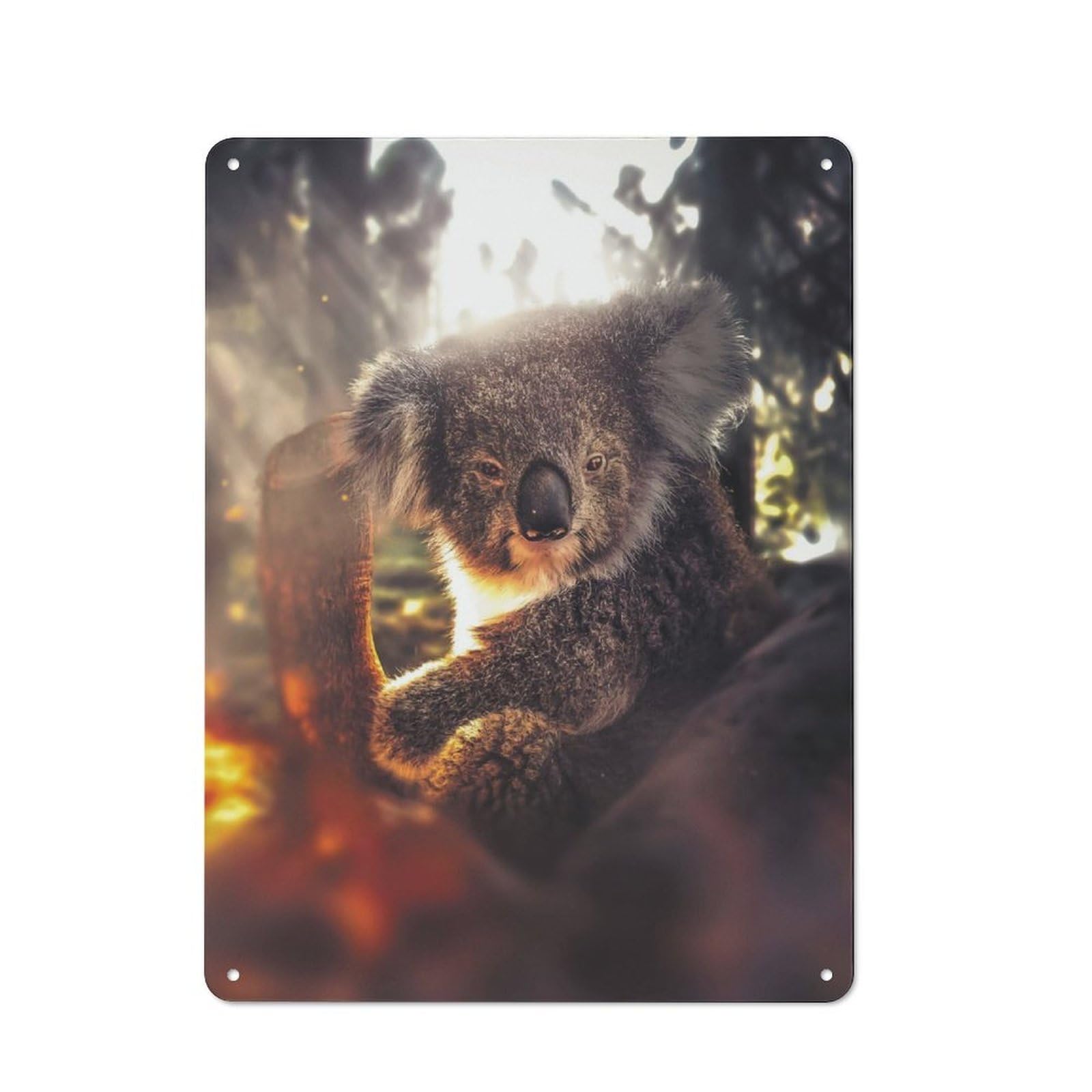 Tin Wall Plaque 40x30cm with The Koala for Guest Room Or Hallway, for Metal Sign Collectors, for Garage And Workshop Walls