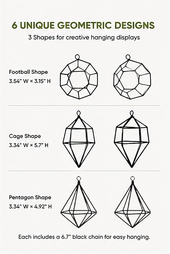 6 Pack Geometric Air Plant Holders for Wall Hanging, Black Metal Tillandsia Decor for Boho Home, Office & Shelf Styling